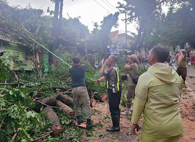 Cuaca Extreme, Polisi Bantu Evakuasi Pohon Tumbang di Kota Mojokerto