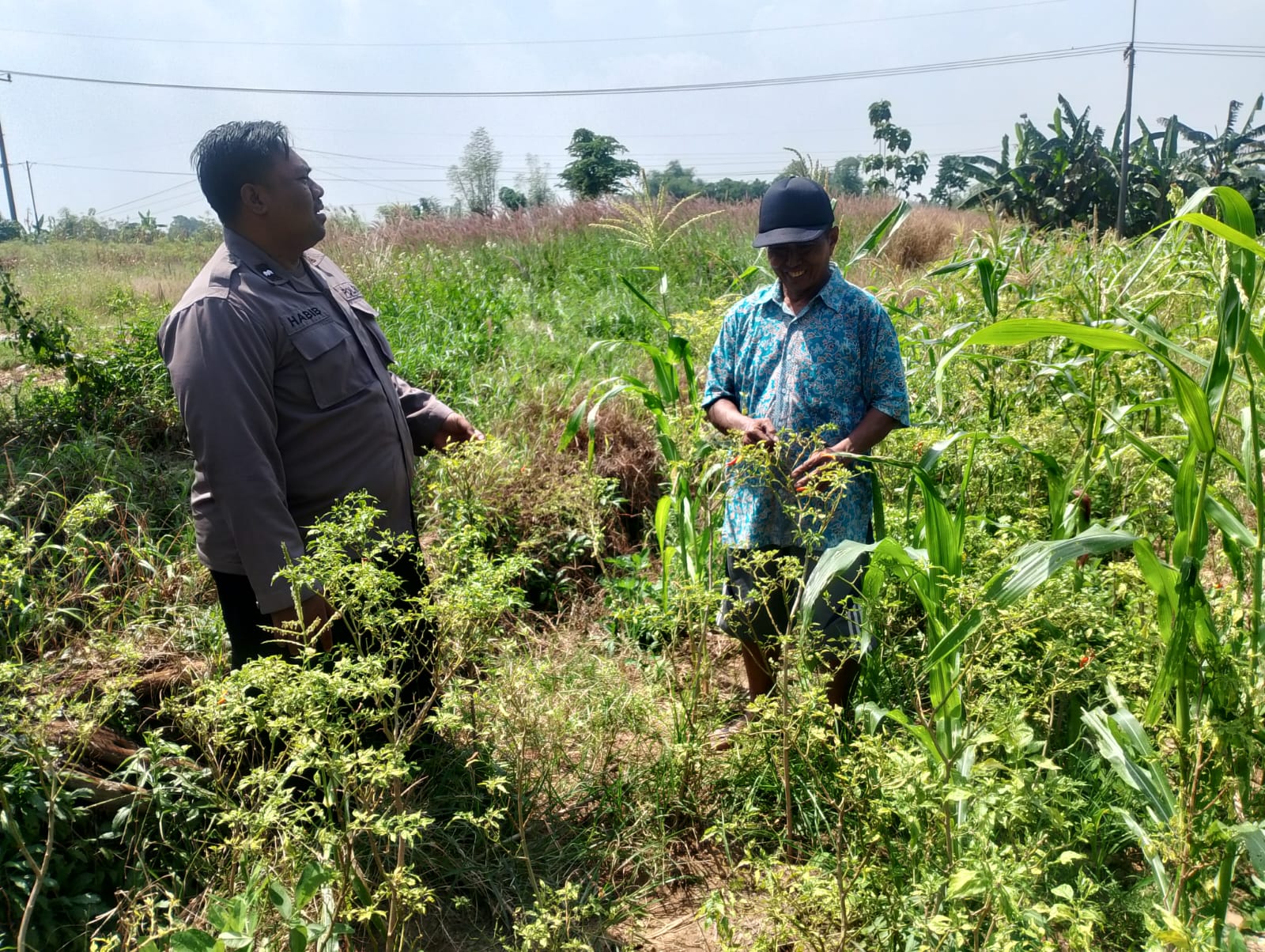 Bhabinkamtibmas Desa Kupang Tawarkan Solusi Bibit Dan Serapan Bulog Ke Petani